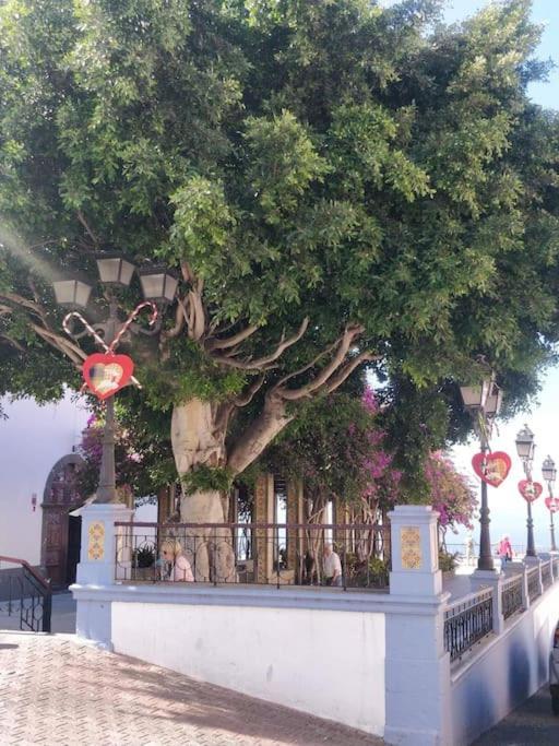 Charming Studio In Tazacorte Εξωτερικό φωτογραφία